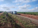 RUMO 9842